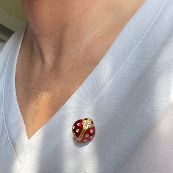 Ladybug Pin - Picture 3 of 7